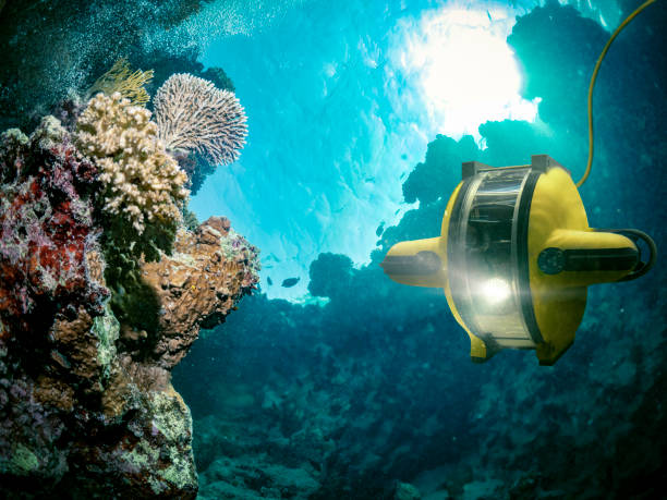 Into the Abyss: Exploring the Deep Sea with Autonomous Ocean Robots