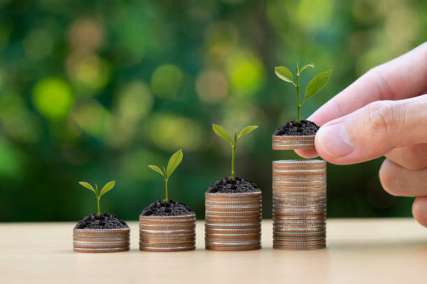 Code, Cash, and Climate: The Rise of the Carbon Accountant
