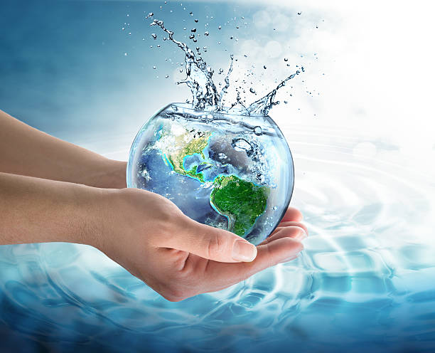 Ocean Conservation Careers: Working to Save the Seas