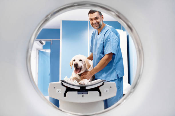 Veterinary Radiologist
