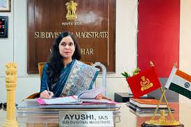 State Administrative Service (SAS)