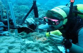 Marine Biotechnologist