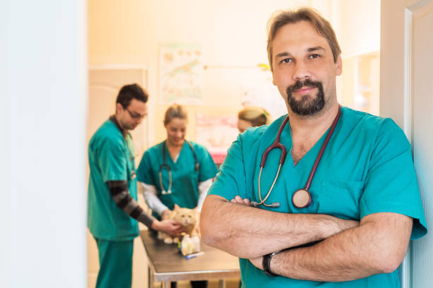 Veterinary Oncologist