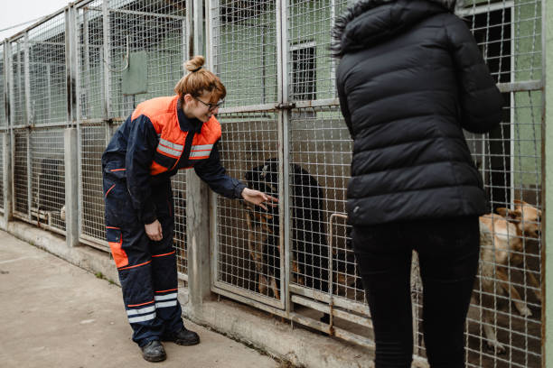 Animal Welfare Officer