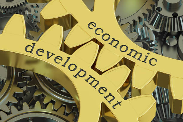 Development Economist