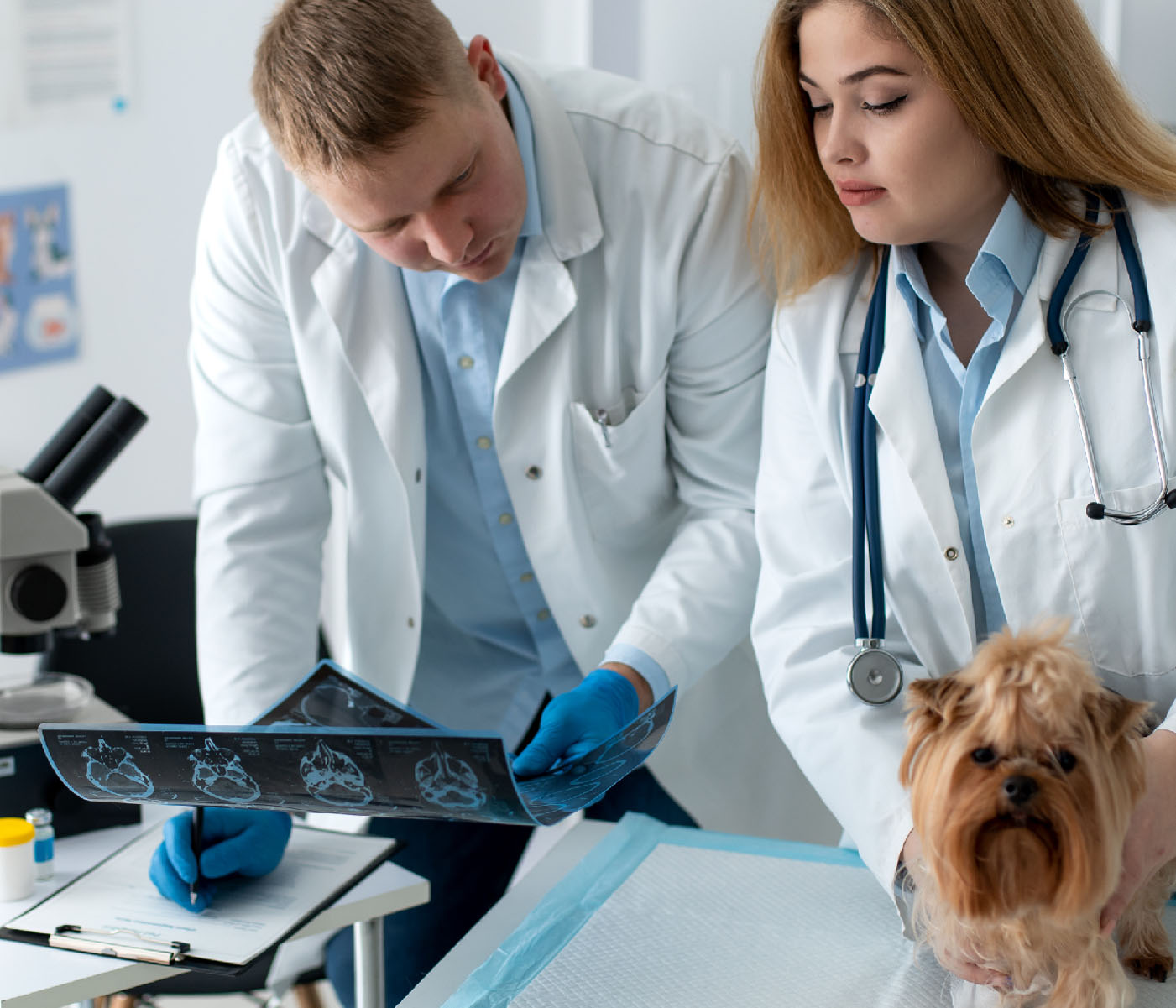 Global Veterinary Pathology Expert