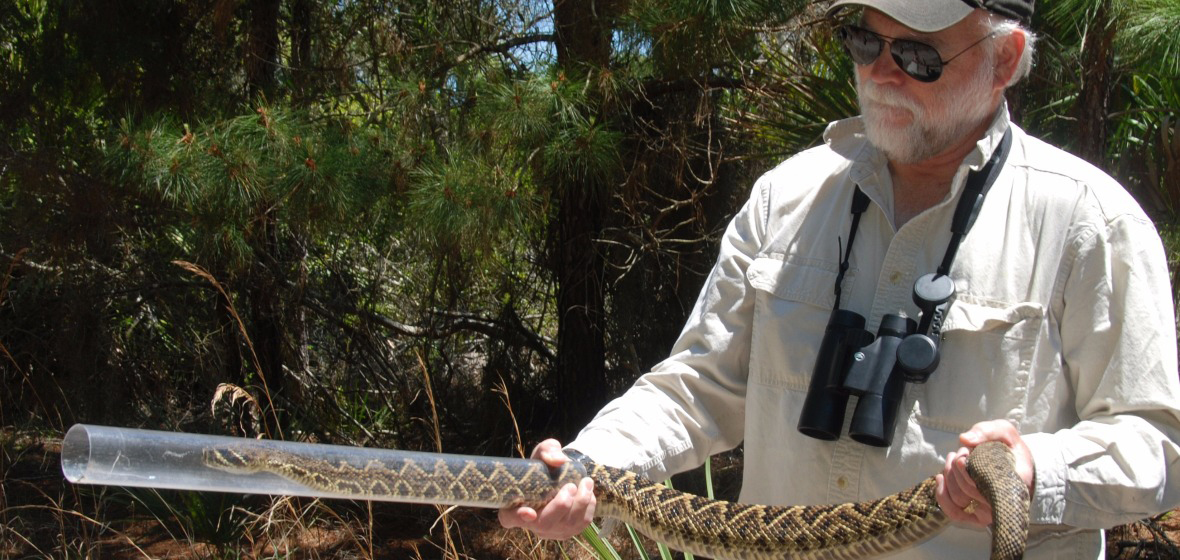 Global Herpetology Expert