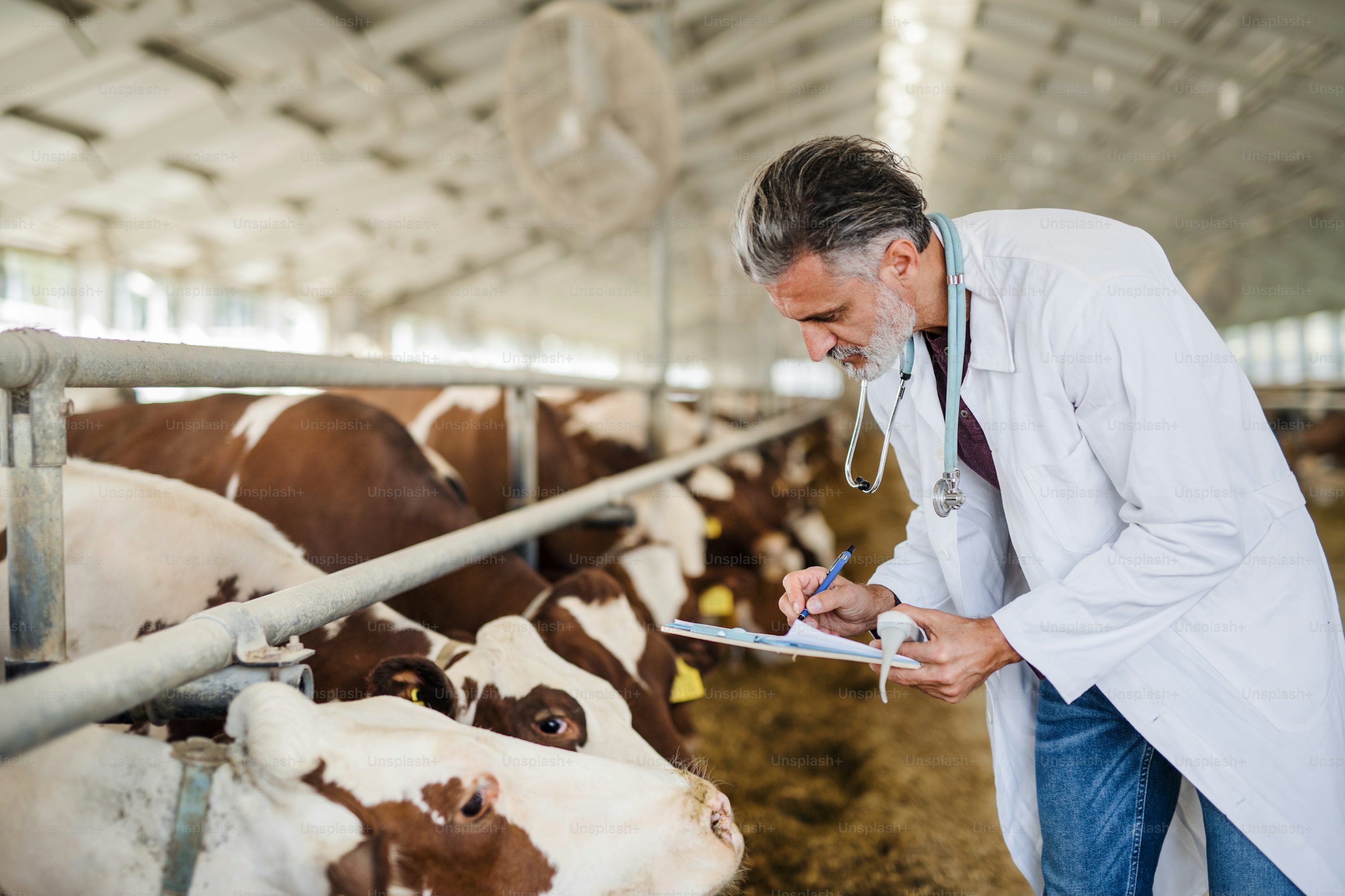 Veterinary Specialist