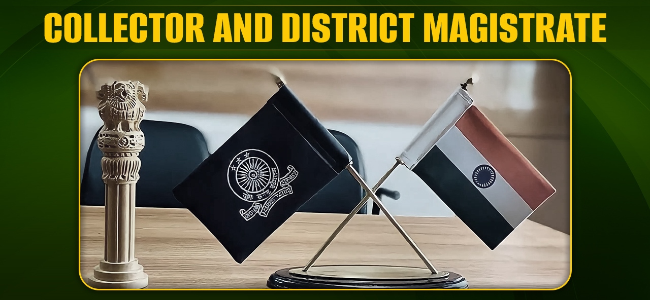 District Magistrate (DM) or Collector