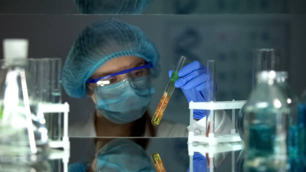 Junior Veterinary Scientist