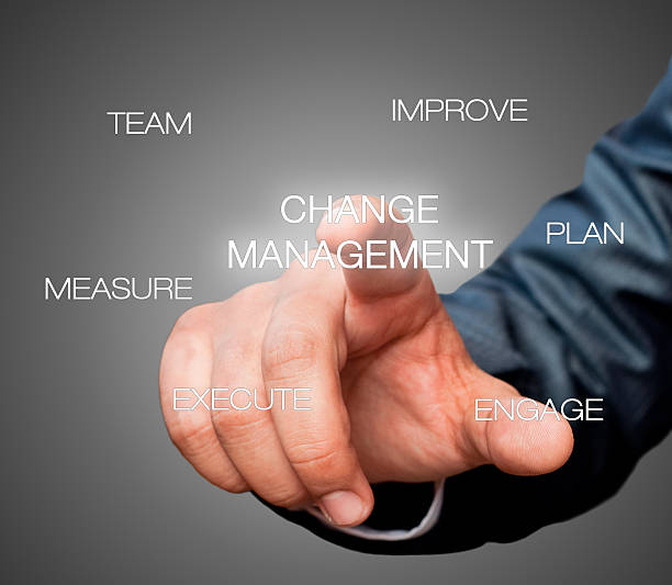 Change Management Consultant