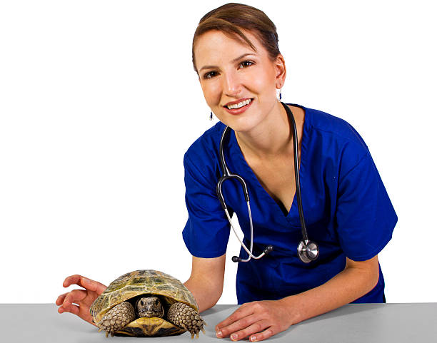 Aquatic Veterinarian