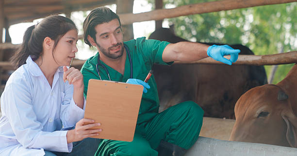 Wildlife Veterinary Consultant