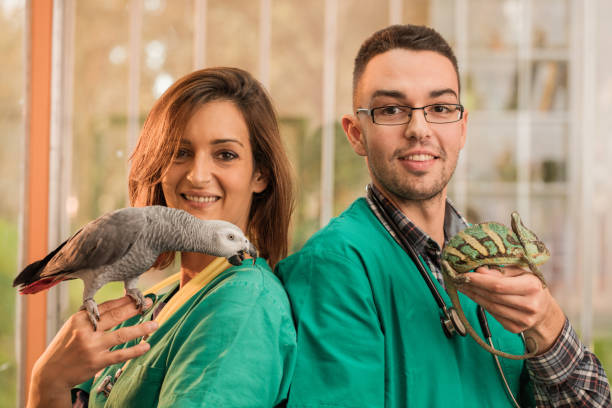 Global Wildlife Veterinary Expert