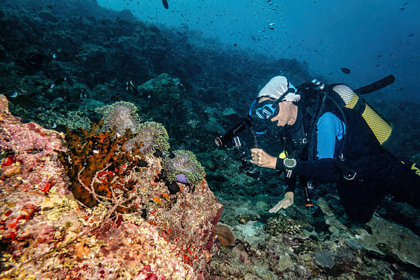 Marine Conservation Specialist