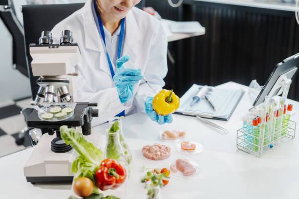 Food Research Scientist