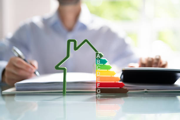 Director of Treasury (Specialized Role)