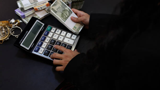 Internal Auditor (Specialized Role)