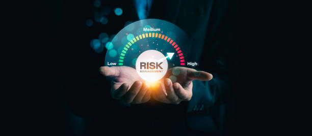 Risk Consultant