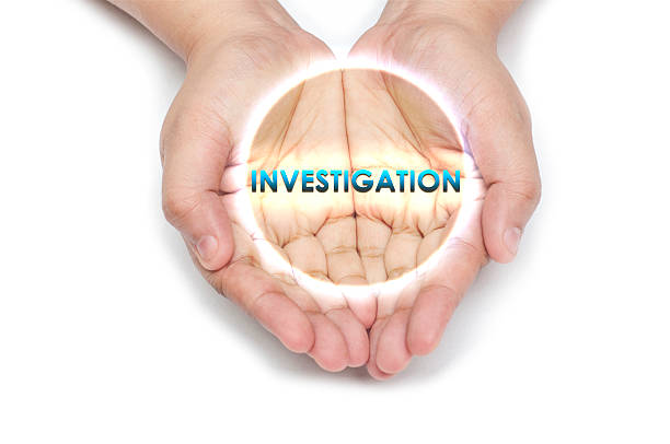 Fraud Investigator (Specialized Role)