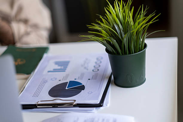 Environmental Economist (Urban/Regional Focus)