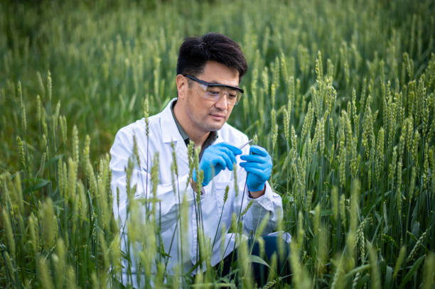 Agricultural Consultant