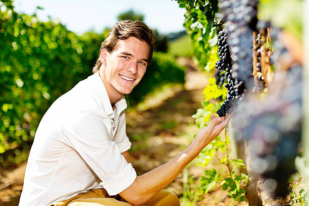 Senior Viticulturist