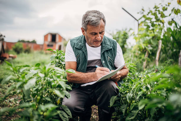 Senior Agriculture Technician