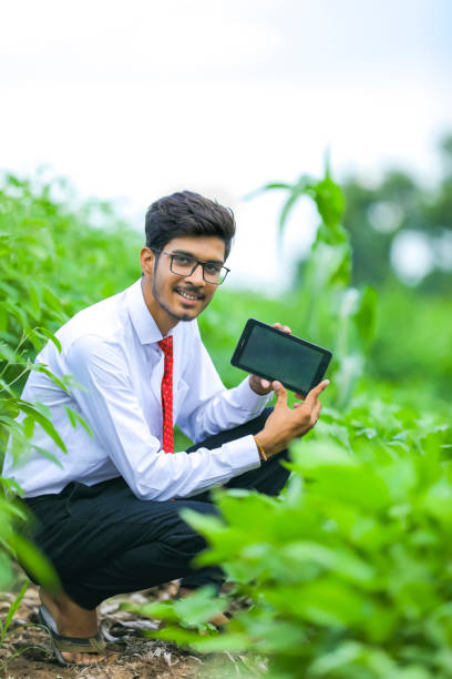 Junior Agricultural GIS & Remote-Sensing Analyst