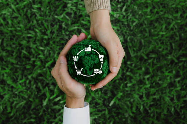 Sustainability Consultant