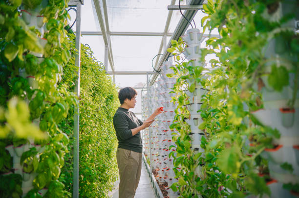 Junior Vertical/Urban-Farm Manager