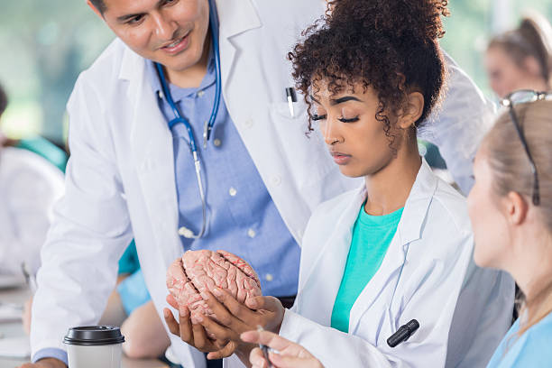 Undergraduate Student