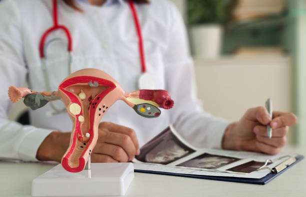 Gynaecologic Specialist