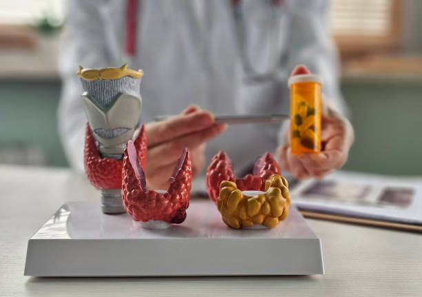 Endocrinology Fellow