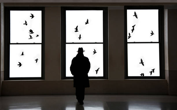 Wildlife Crime Investigator