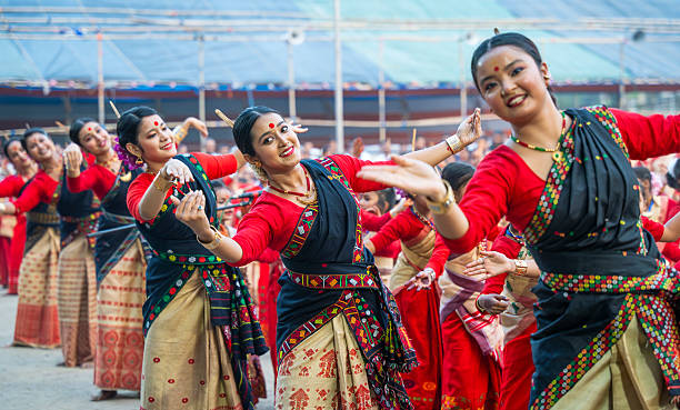 Cultural Festival Organizer