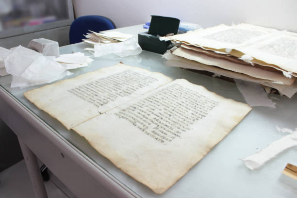 Manuscript Curator