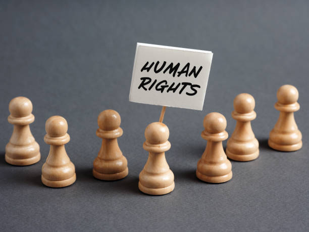 International Human-Rights Consultant