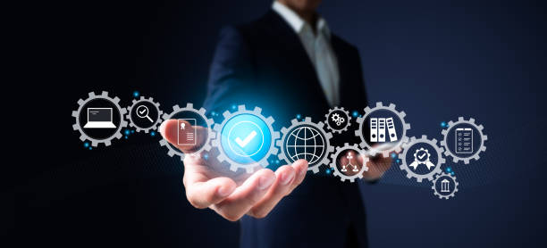 Senior Quality Analyst