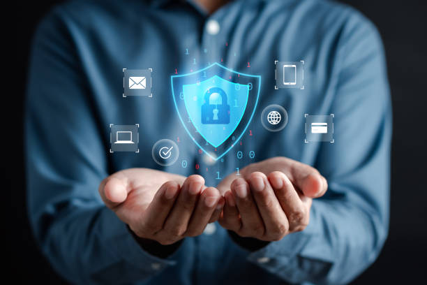AI Privacy Consultant