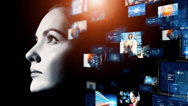 Interactive Media Designer