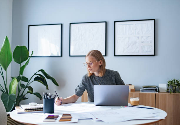 Independent Concept Designer