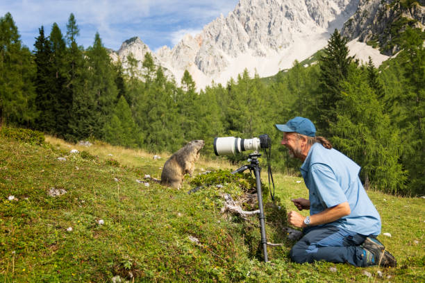 Wildlife Photographer