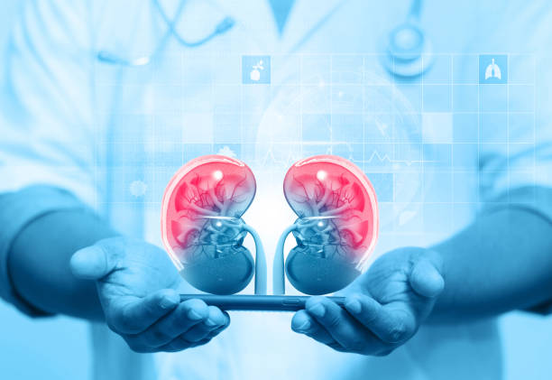 Transplant Nephrologist