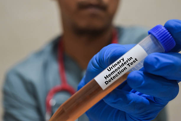 Renal Pathologist
