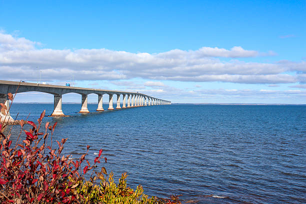 Marine Structural Engineer