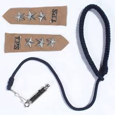 Deputy Superintendent of Police (DSP) (Entry Level)