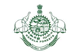 Conservator of Forests (CF) (Mid-Level)