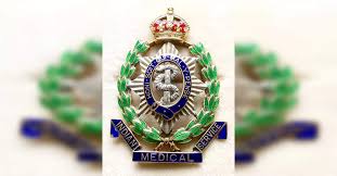 Director (Medical Services) (Senior Level)