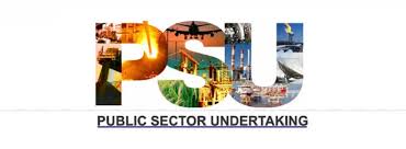 Director (Functional Area) (Senior Level)